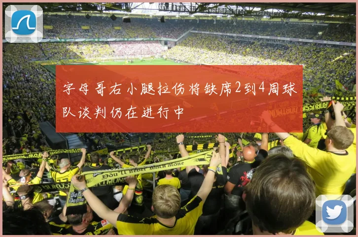 字母哥右小腿拉伤将缺席2到4周球队谈判仍在进行中